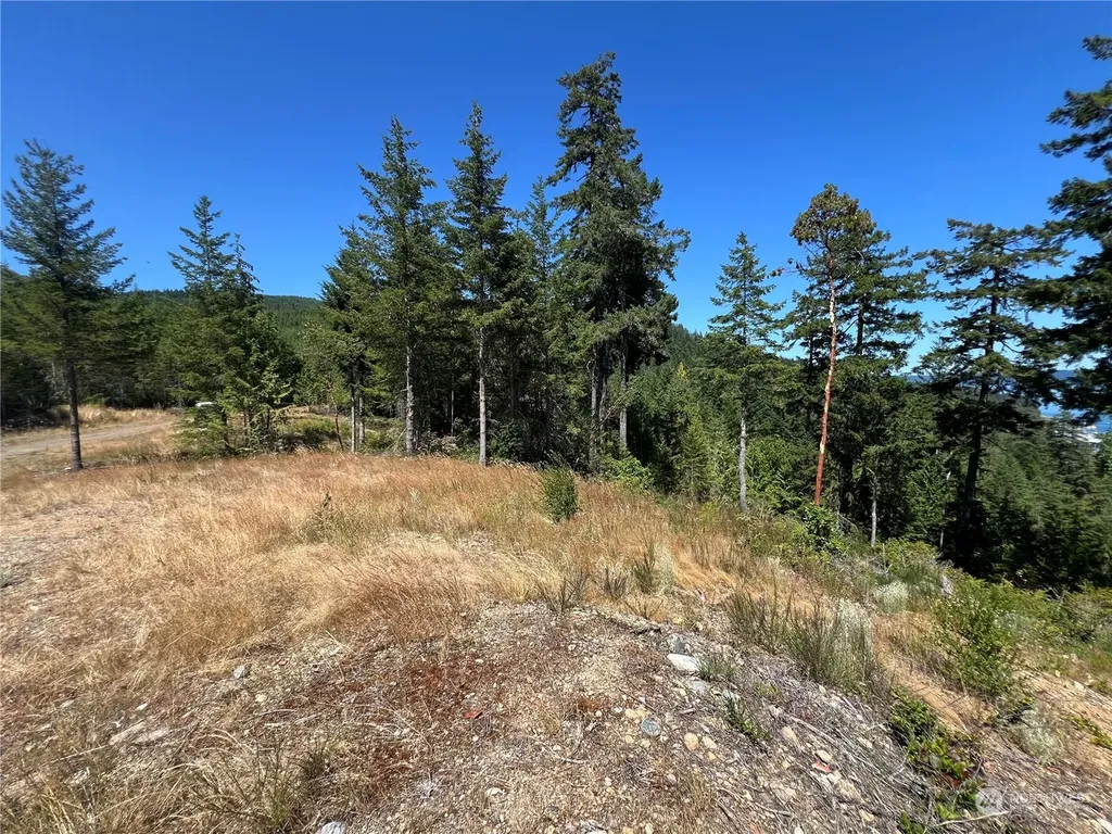 2 Mt Jupiter Road Brinnon WA 98376