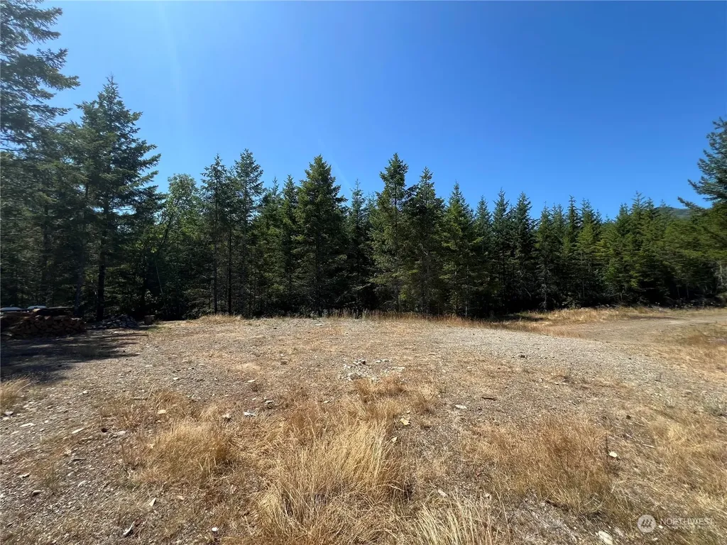 2 Mt Jupiter Road Brinnon WA 98376