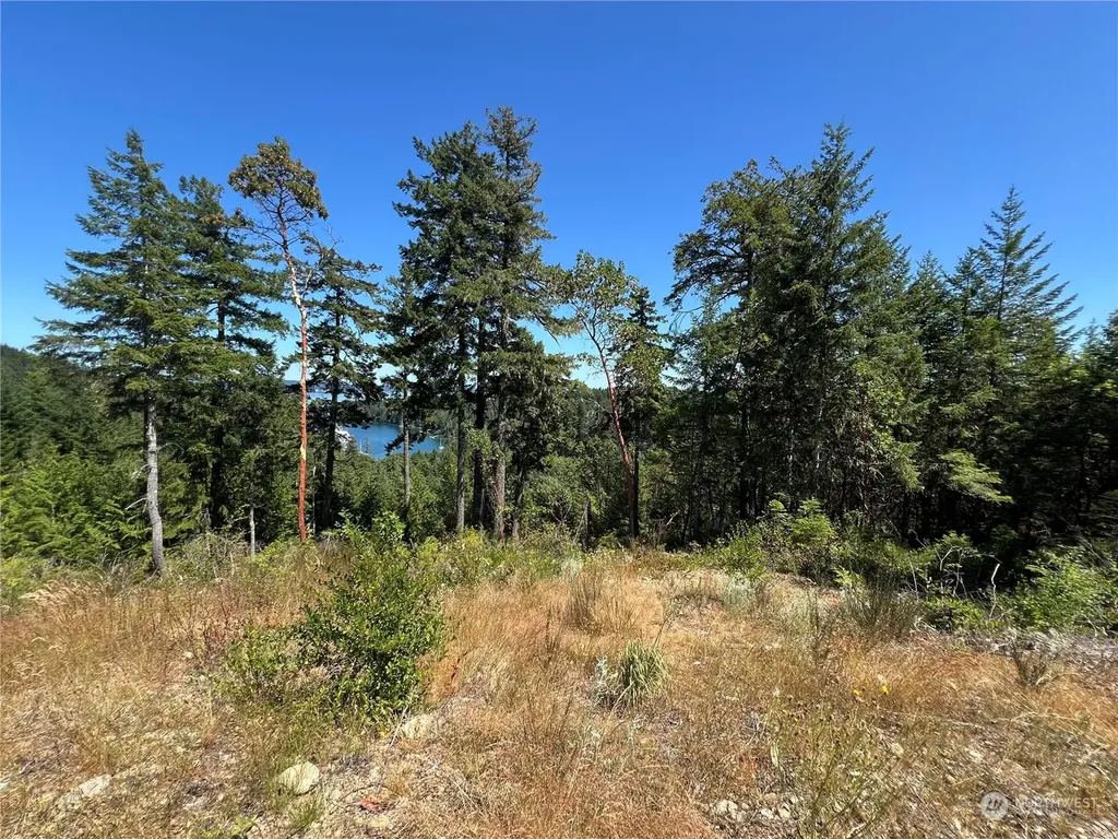 2 Mt Jupiter Road Brinnon WA 98376