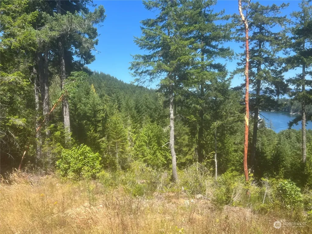 2 Mt Jupiter Road Brinnon WA 98376