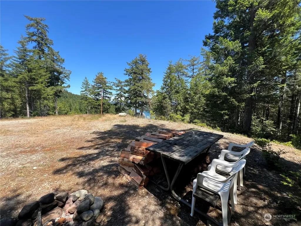 2 Mt Jupiter Road Brinnon WA 98376