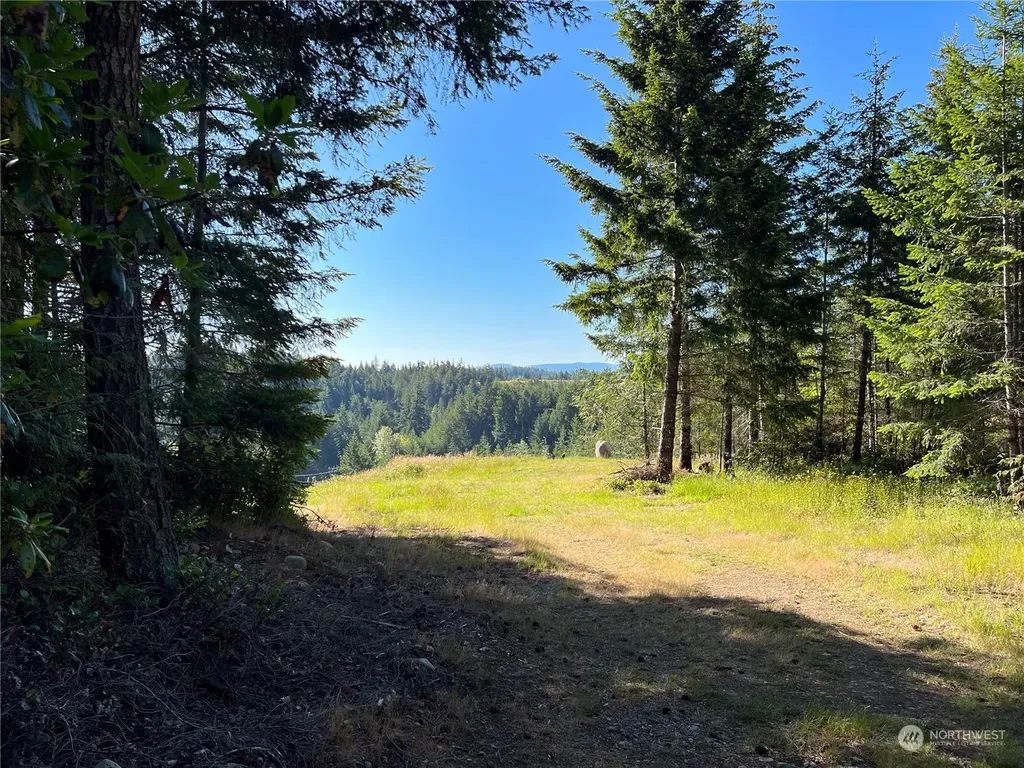 2 Mt Jupiter Road Brinnon WA 98376