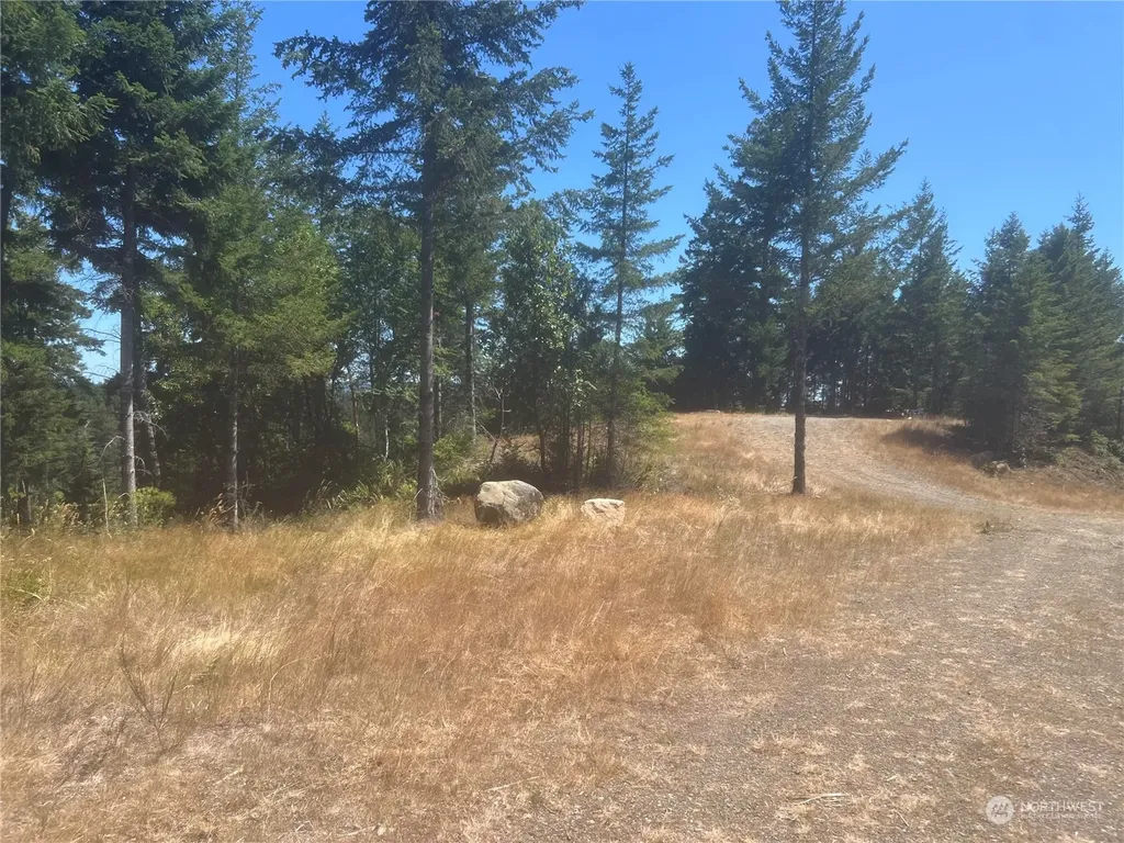 2 Mt Jupiter Road Brinnon WA 98376