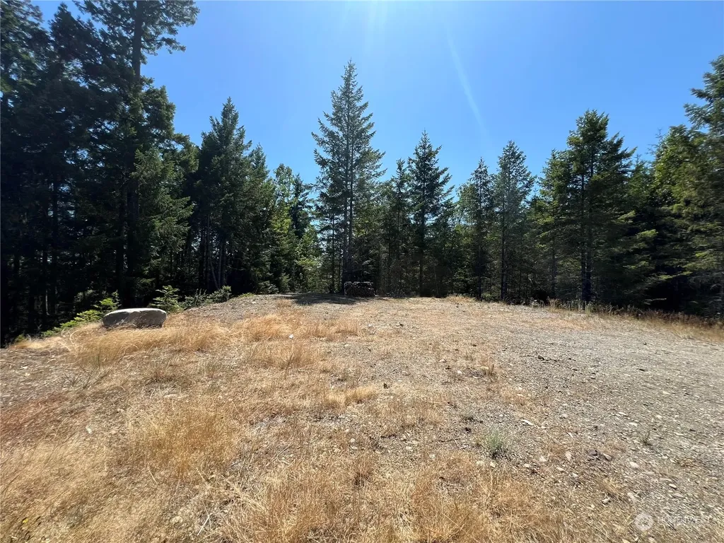 2 Mt Jupiter Road Brinnon WA 98376
