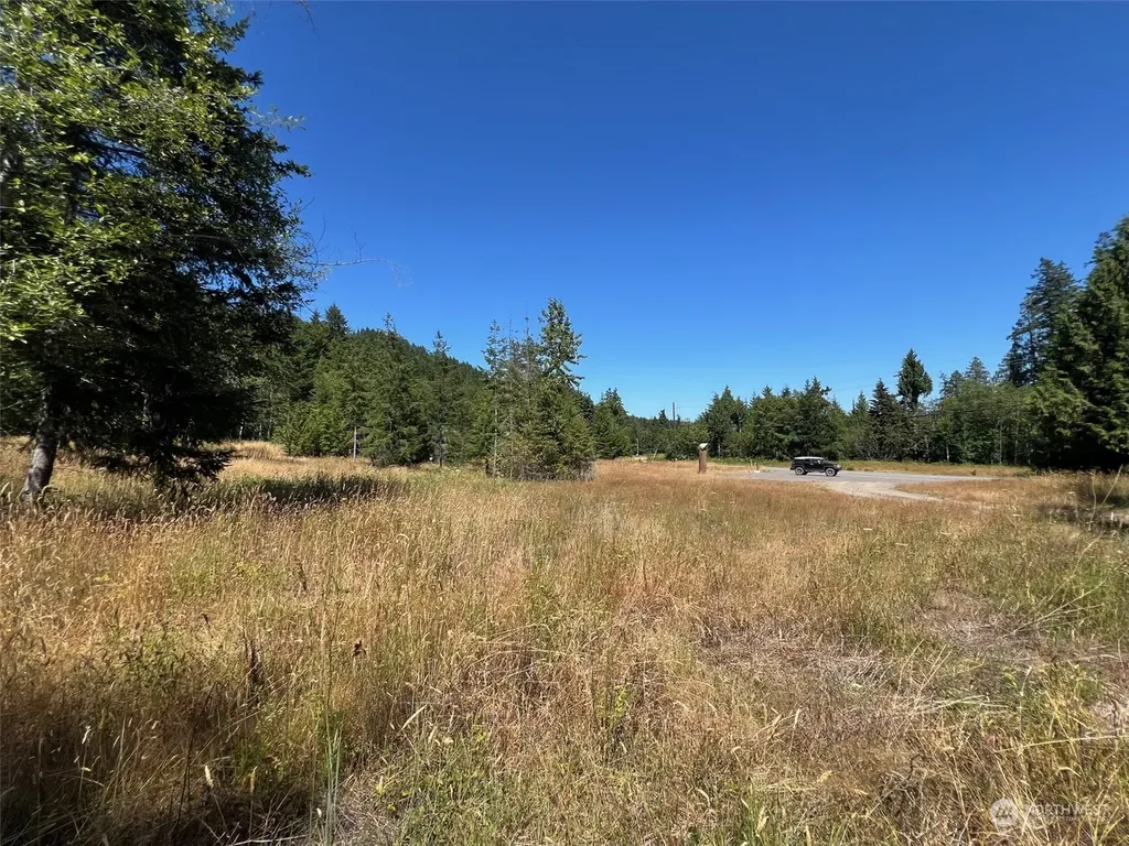 2 Mt Jupiter Road Brinnon WA 98376
