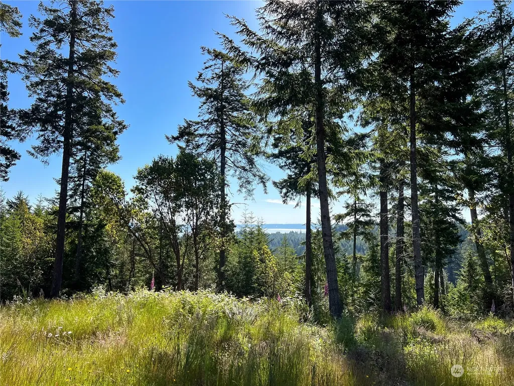 2 Mt Jupiter Road Brinnon WA 98376