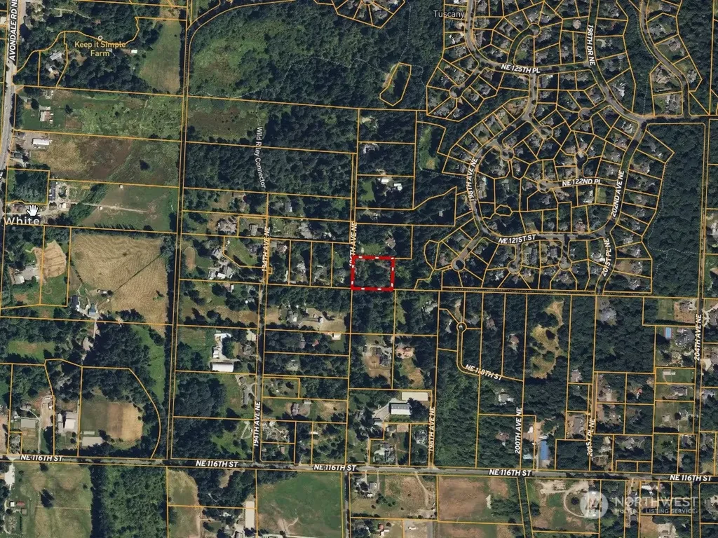 120 196th Avenue NE Redmond WA 98053