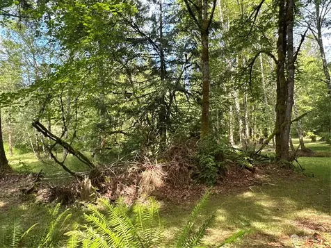 120 196th Avenue NE Redmond WA 98053