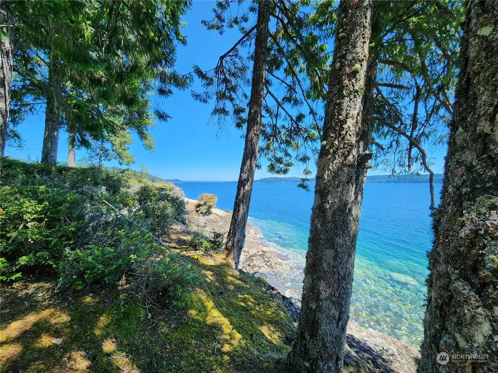 126 Handley Lane Brinnon WA 98320