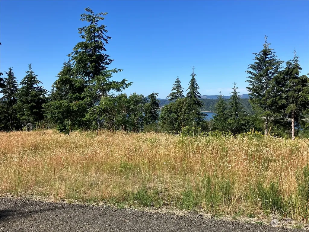 1 E Lone Fir Drive Drive E Shelton WA 98584