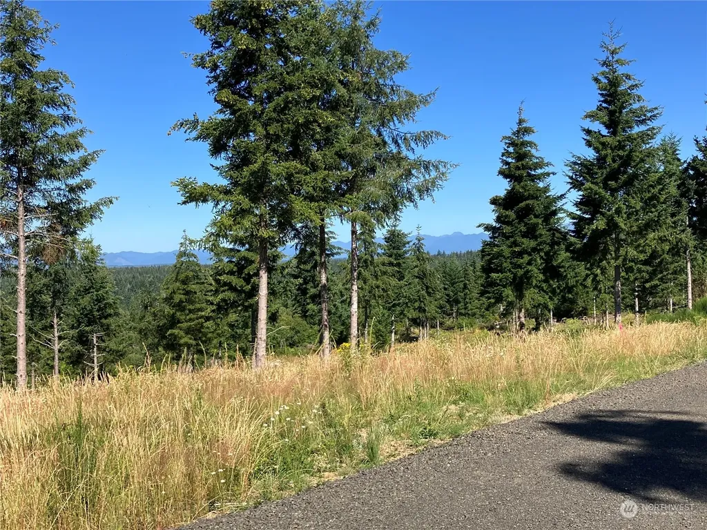 1 E Lone Fir Drive Drive E Shelton WA 98584
