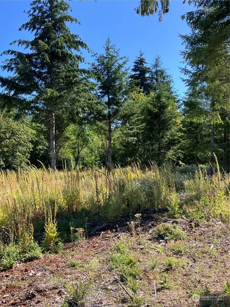 1 E Lone Fir Drive Drive E Shelton WA 98584