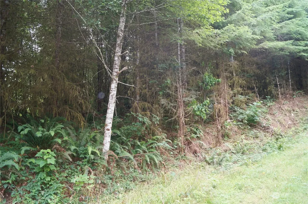 0 Wynooche Wishkah Road Montesano WA 98563