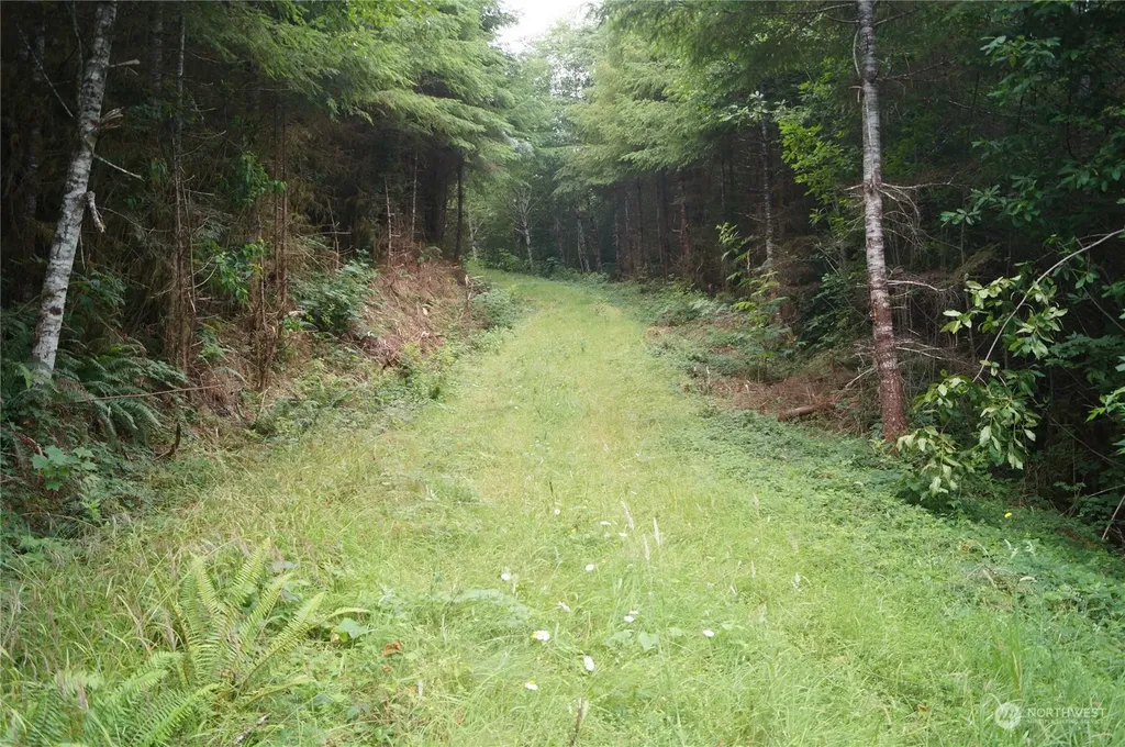 0 Wynooche Wishkah Road Montesano WA 98563