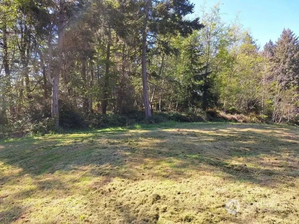 0 Morris Boulevard Steilacoom WA 98388