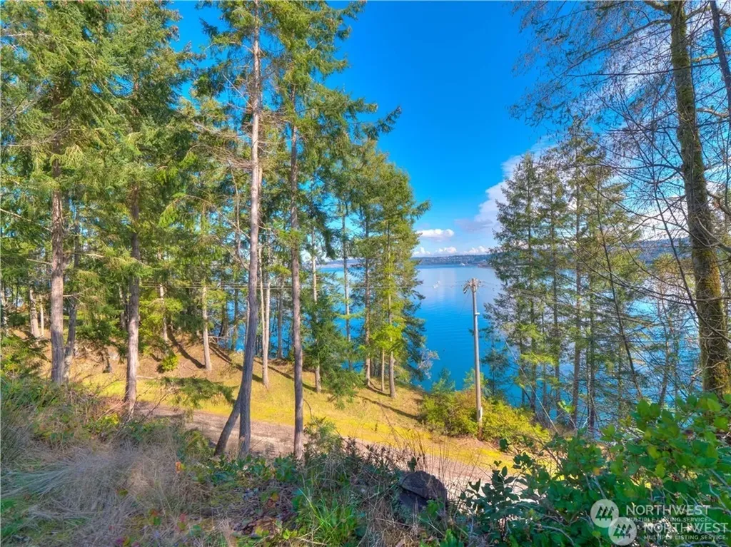 0 Morris Boulevard Steilacoom WA 98388