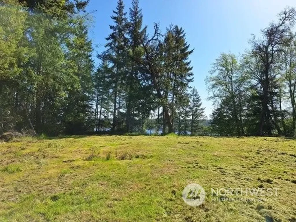 0 Morris Boulevard Steilacoom WA 98388