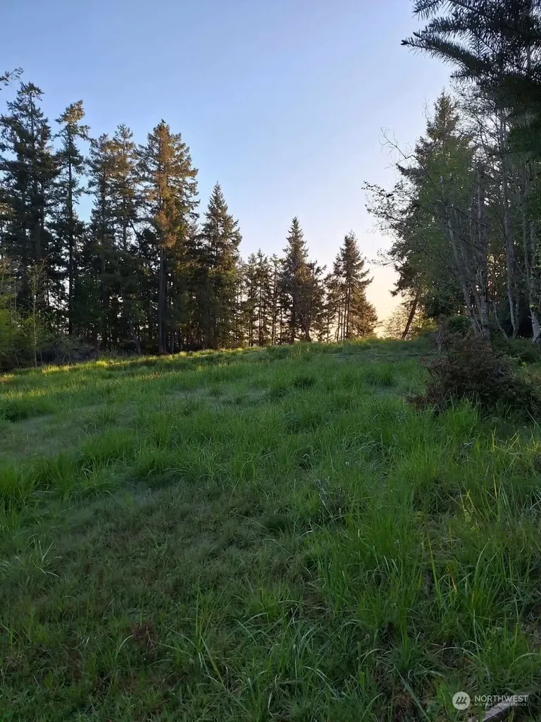 0 Morris Boulevard Steilacoom WA 98388