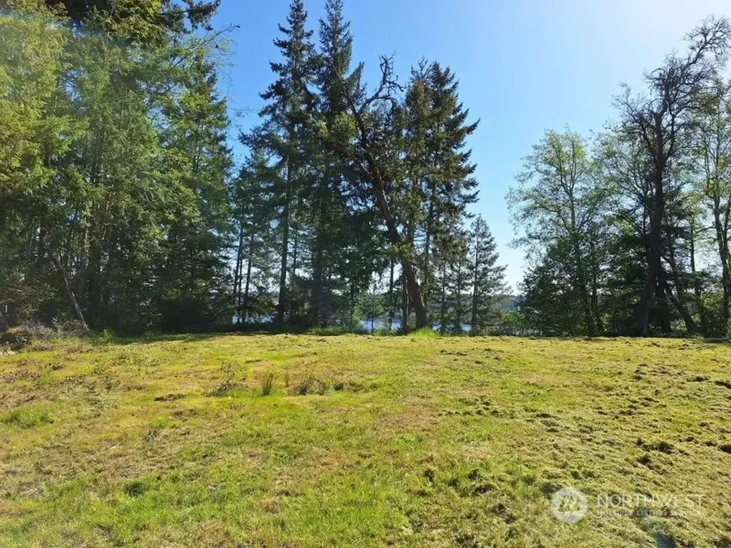 0 Morris Boulevard Steilacoom WA 98388
