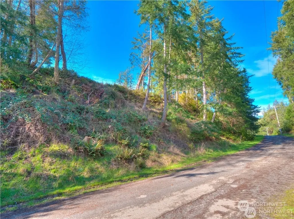 0 Morris Boulevard Steilacoom WA 98388
