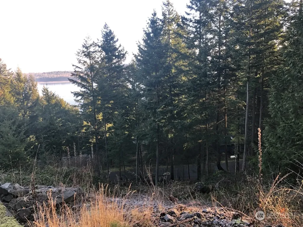 2948 Dogwood Terrace Lummi Island WA 98262