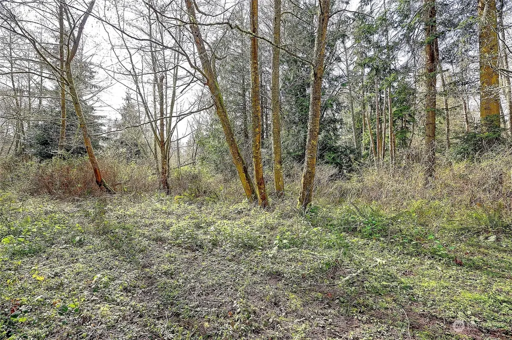 1802 Amber View Place Camano Island WA 98282