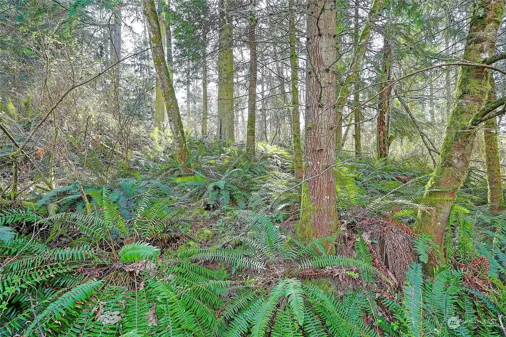 1802 Amber View Place Camano Island WA 98282