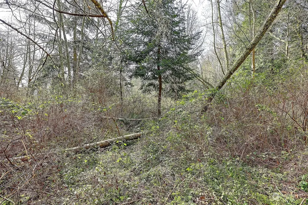 1802 Amber View Place Camano Island WA 98282