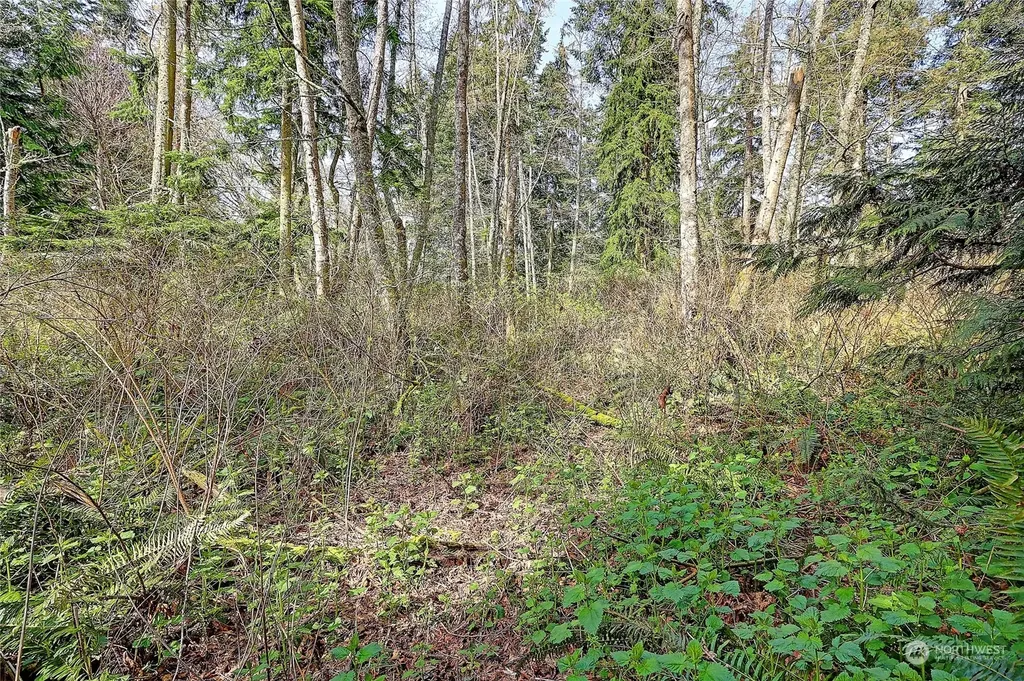 1802 Amber View Place Camano Island WA 98282