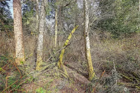 1802 Amber View Place Camano Island WA 98282