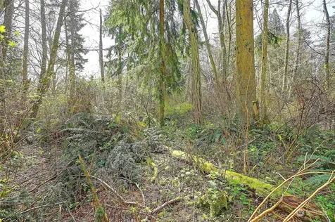 1802 Amber View Place Camano Island WA 98282
