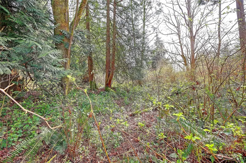 1804 Amber View Place Camano Island WA 98282