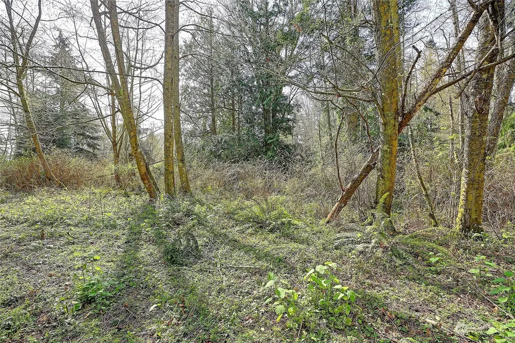 1804 Amber View Place Camano Island WA 98282