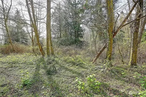 1804 Amber View Place Camano Island WA 98282