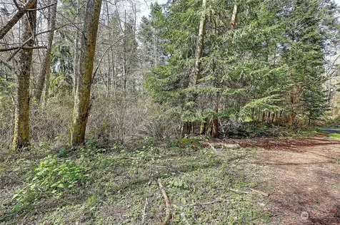 1804 Amber View Place Camano Island WA 98282
