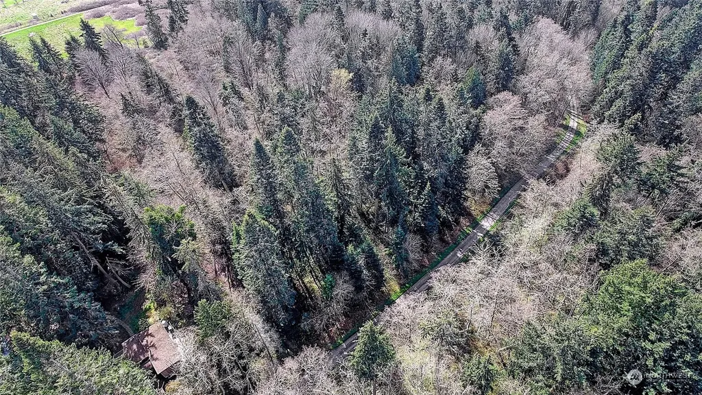1800 Amber View Place Camano Island WA 98282