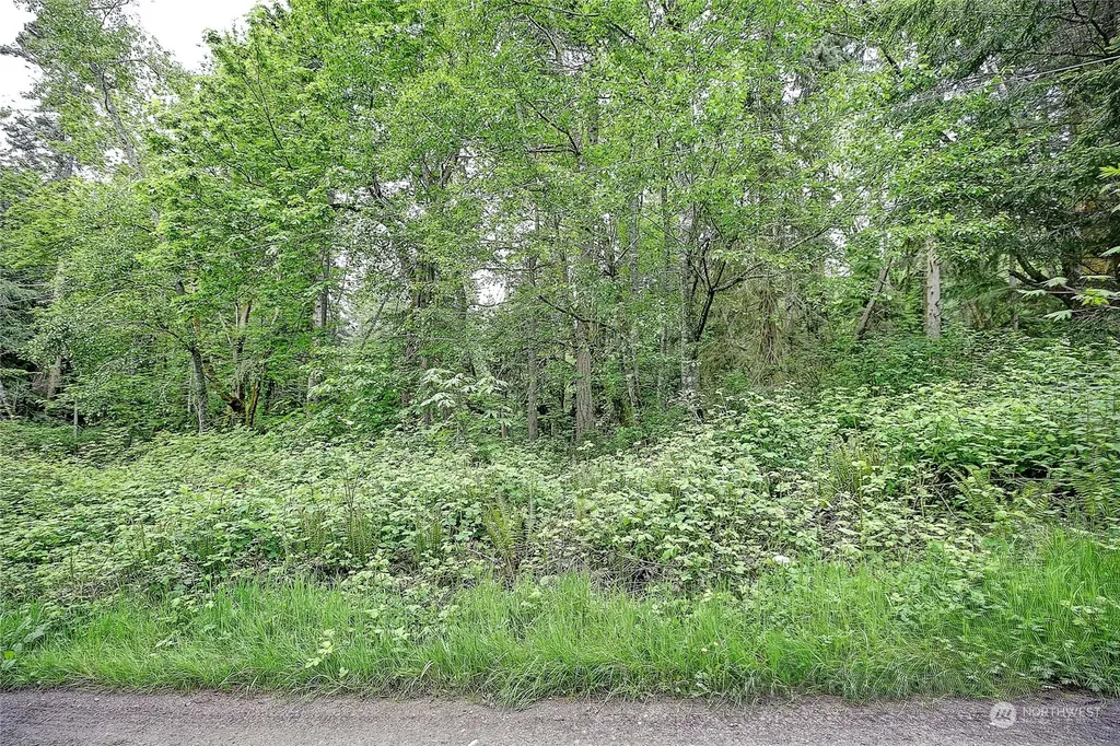 1800 Amber View Place Camano Island WA 98282