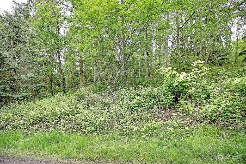 1800 Amber View Place Camano Island WA 98282