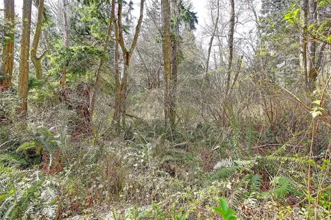 1800 Amber View Place Camano Island WA 98282