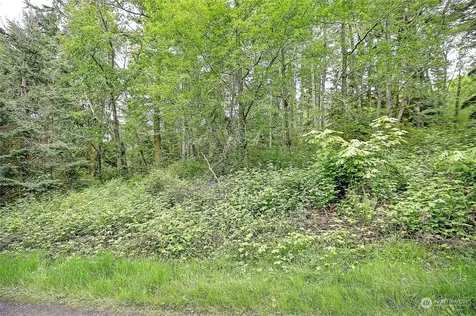 1800 Amber View Place Camano Island WA 98282