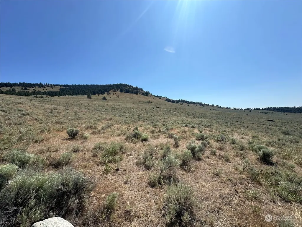 25 Harvest Moon Lane Tonasket WA 98855