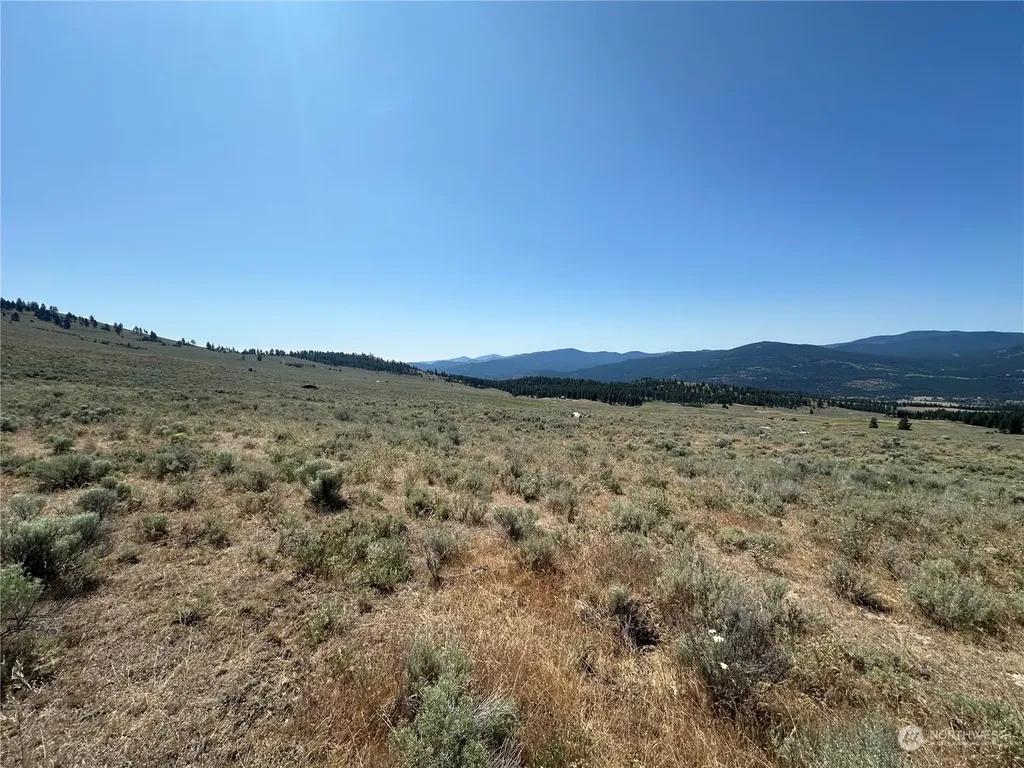 25 Harvest Moon Lane Tonasket WA 98855