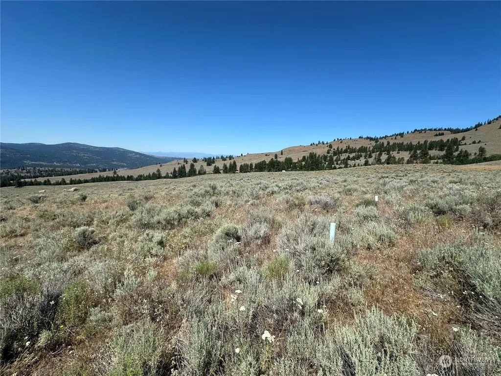 25 Harvest Moon Lane Tonasket WA 98855