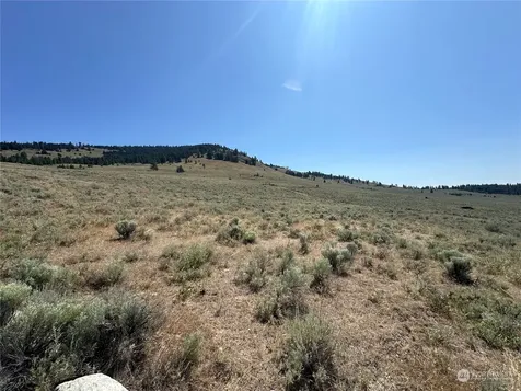 25 Harvest Moon Lane Tonasket WA 98855