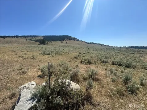 25 Harvest Moon Lane Tonasket WA 98855
