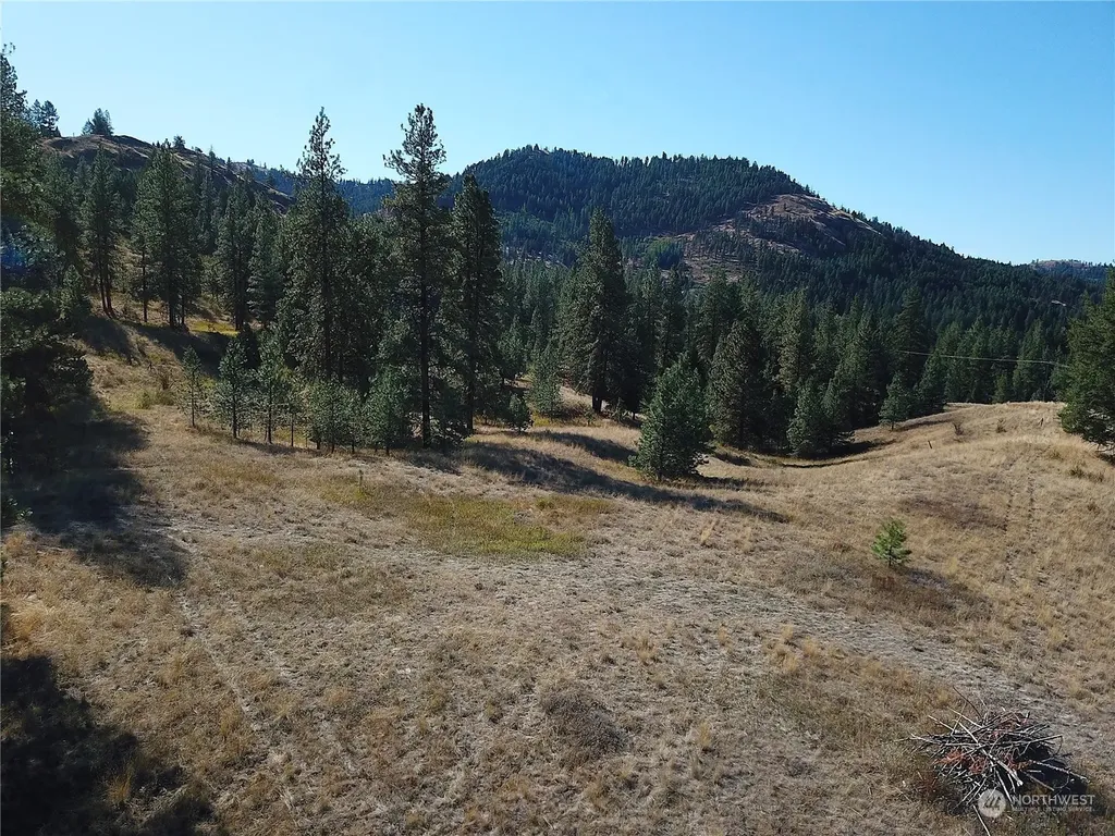 68 Jostin Lane Malo WA 99150