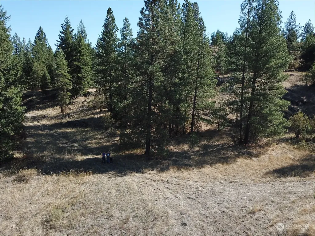 68 Jostin Lane Malo WA 99150
