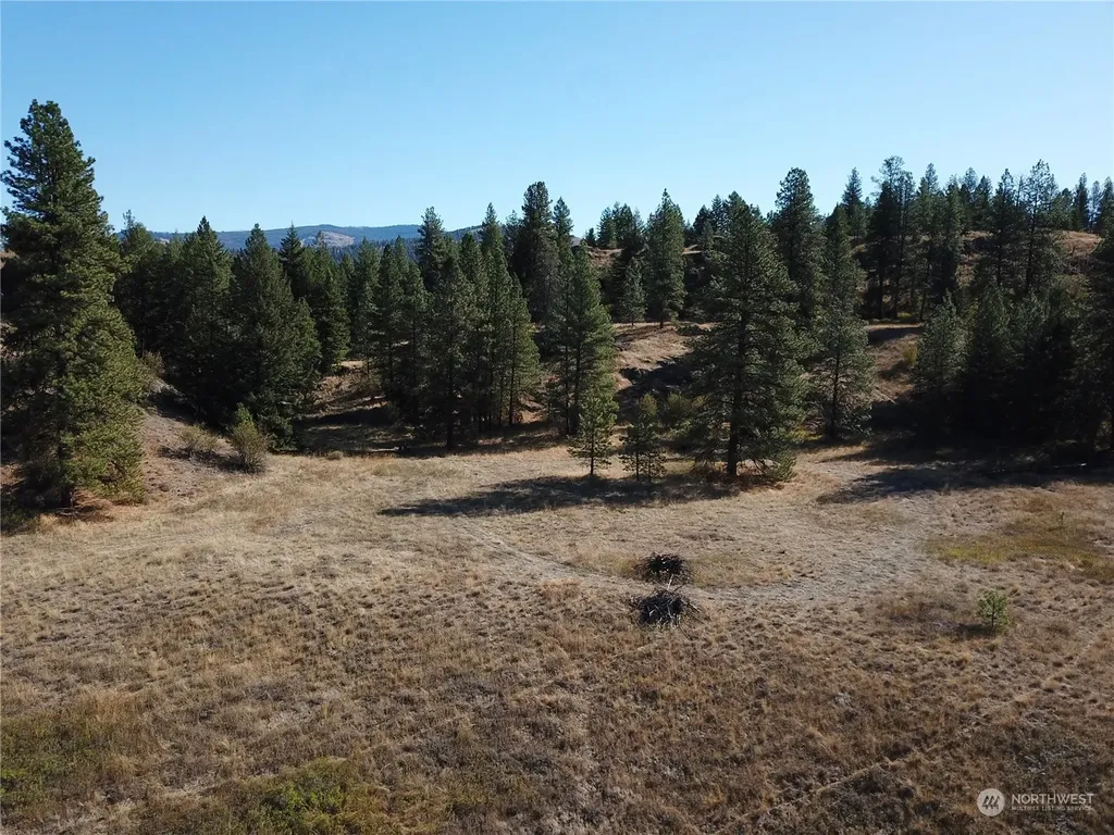 68 Jostin Lane Malo WA 99150