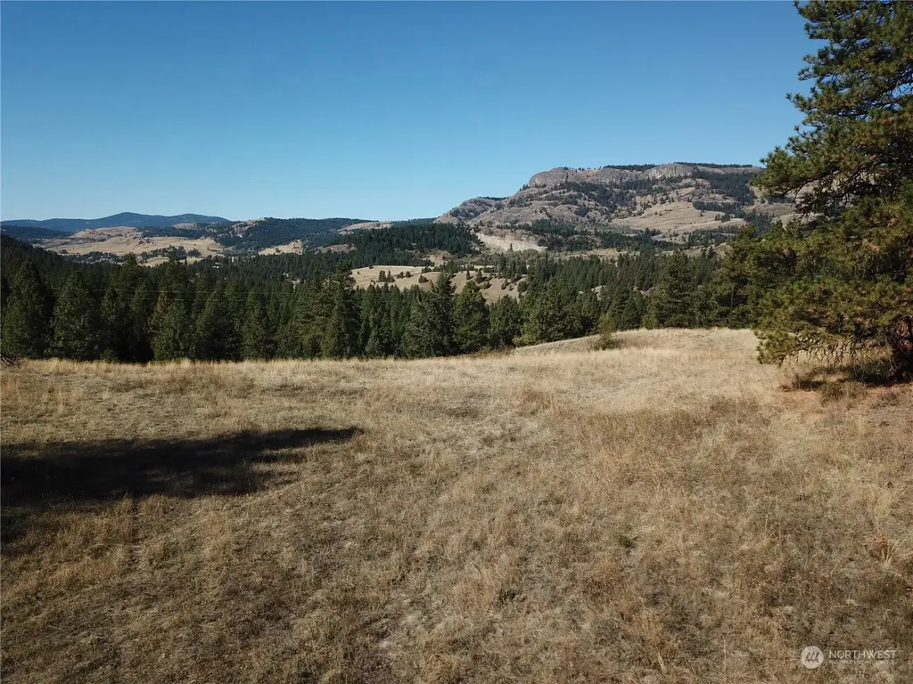 68 Jostin Lane Malo WA 99150