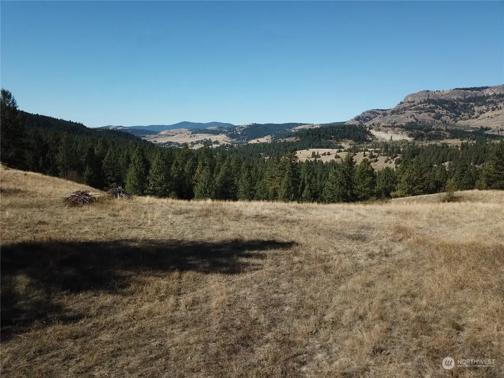 68 Jostin Lane Malo WA 99150